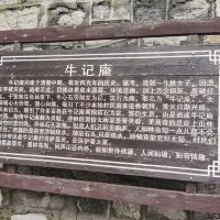 評論圖片 2