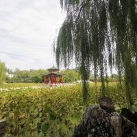 評論圖片 9