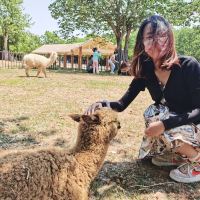 評論圖片 3