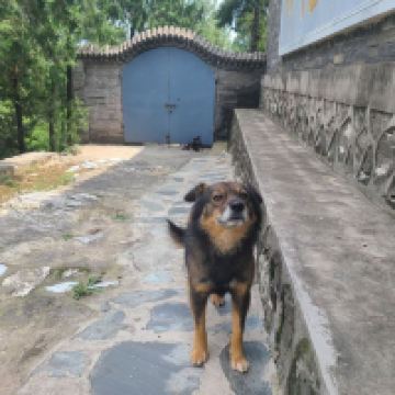 評論圖片 4