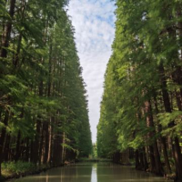 評論圖片 9