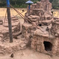 評論圖片 9