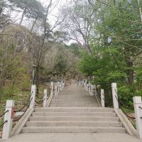 評論圖片 6