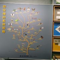 評論圖片 7