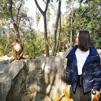 評論圖片 4