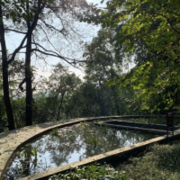 評論圖片 1