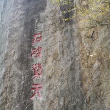 評論圖片 4