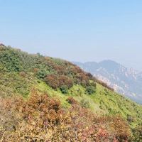 評論圖片 9