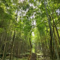 評論圖片 6