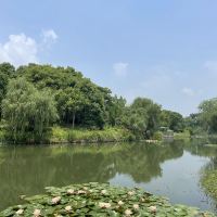 評論圖片 8