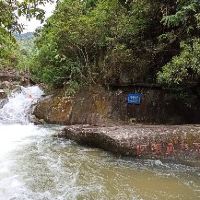 評論圖片 7