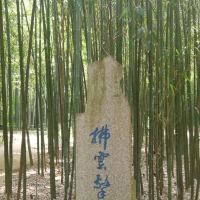 評論圖片 6