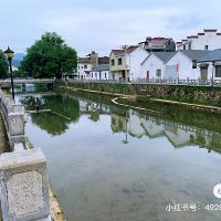 評論圖片 3
