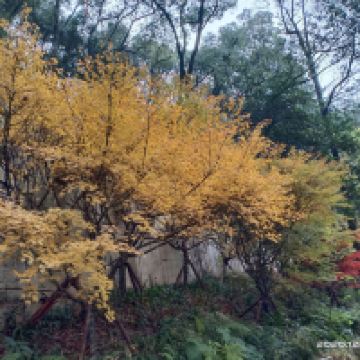 評論圖片 6
