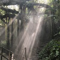 評論圖片 4
