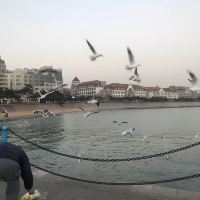 評論圖片 6