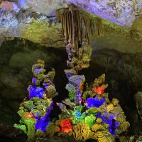 評論圖片 2