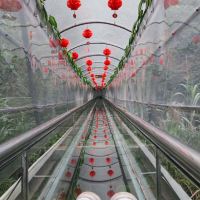 評論圖片 5