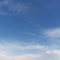 評論圖片 6