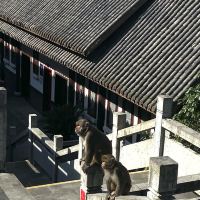評論圖片 2