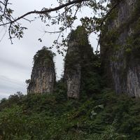 評論圖片 7
