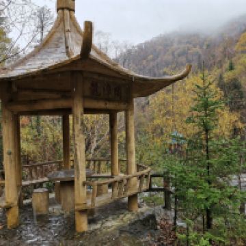 評論圖片 7