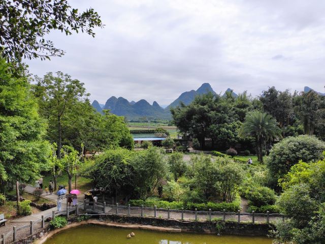 Ziyun Cave Scenic Spot