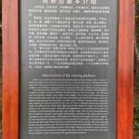評論圖片 8