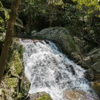 評論圖片 1