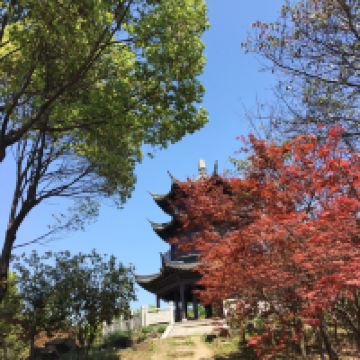 評論圖片 2