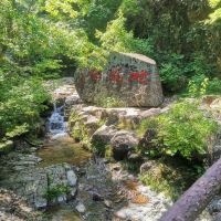 評論圖片 5