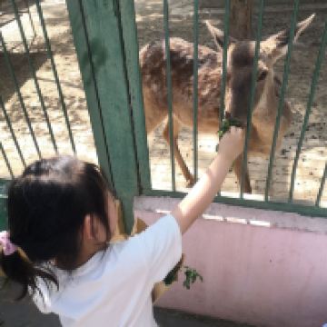 評論圖片 7
