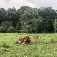 評論圖片 2