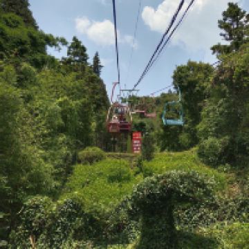 評論圖片 9