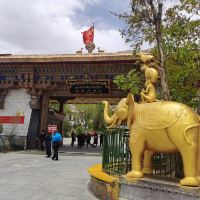評論圖片 1