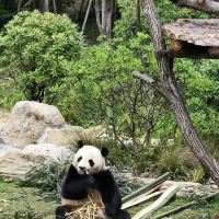 評論圖片 4