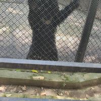 評論圖片 2