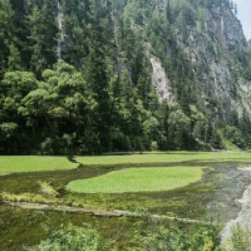 評論圖片 4