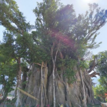 評論圖片 2