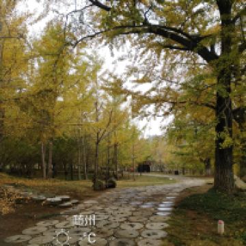 評論圖片 2