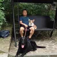 評論圖片 8