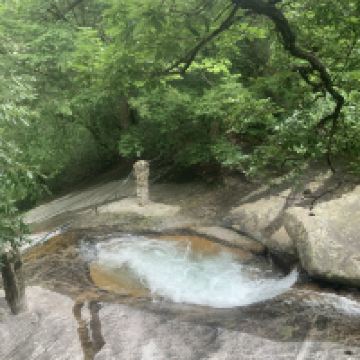 評論圖片 1