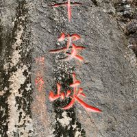 評論圖片 1