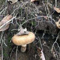 評論圖片 8