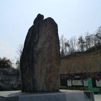 評論圖片 1