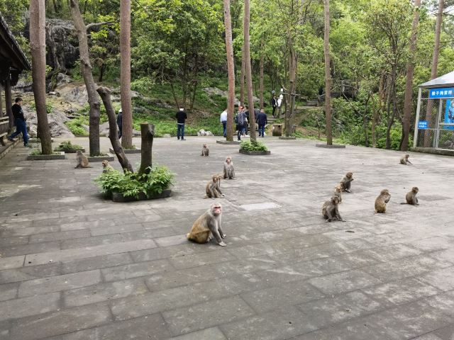 황산첨