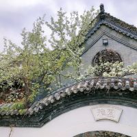 評論圖片 7