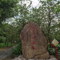 評論圖片 1