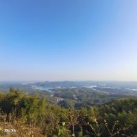 評論圖片 2