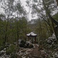 評論圖片 5